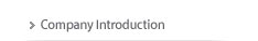 Company Introduction