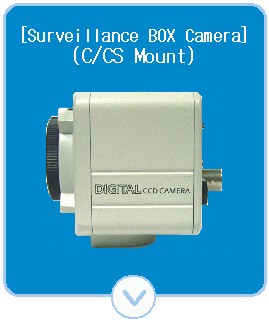 Surveillance BOX Camera(C/CS MOUNT)