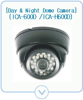 Day & Night IR Camera(Dome, IR12)