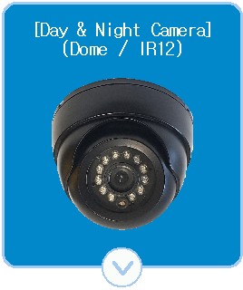 Vari-focal Day & Night Dome Camera(dome, IR12)