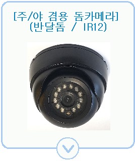 Day & Night IRLED12 Camera(ICA-621/631D)
