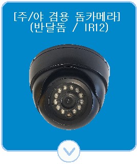 ���ܼ� IRLED12�� ī�޶�(ICA-600D/H600D)