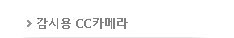 ���ÿ� CCī�޶�